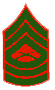 Marine Sergeant E8 Master Sergeant