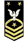 Navy/CoastGuard Fleet/Command Master Chief Petty Officer E9